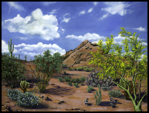 Gambel's Garden - Scottsdale, AZ.
