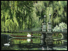 Swan Boats - Boston, MA.