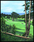 The Pines - San Francisco, CA.