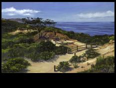 Torrey's Hike - Torrey Pines State Reserve, CA.